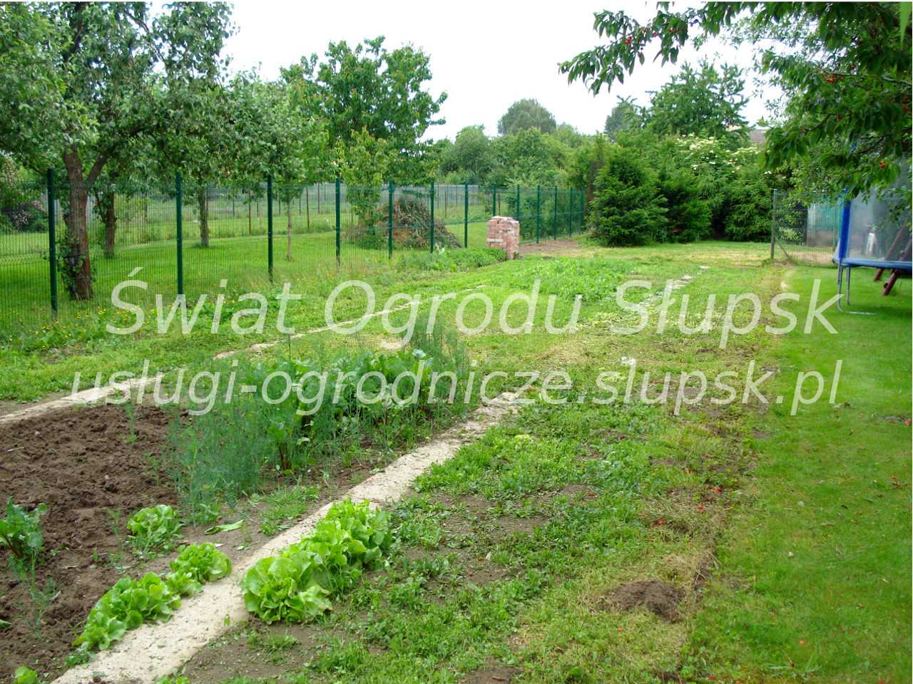Ogród w Kobylnicy - Świat Ogrodu