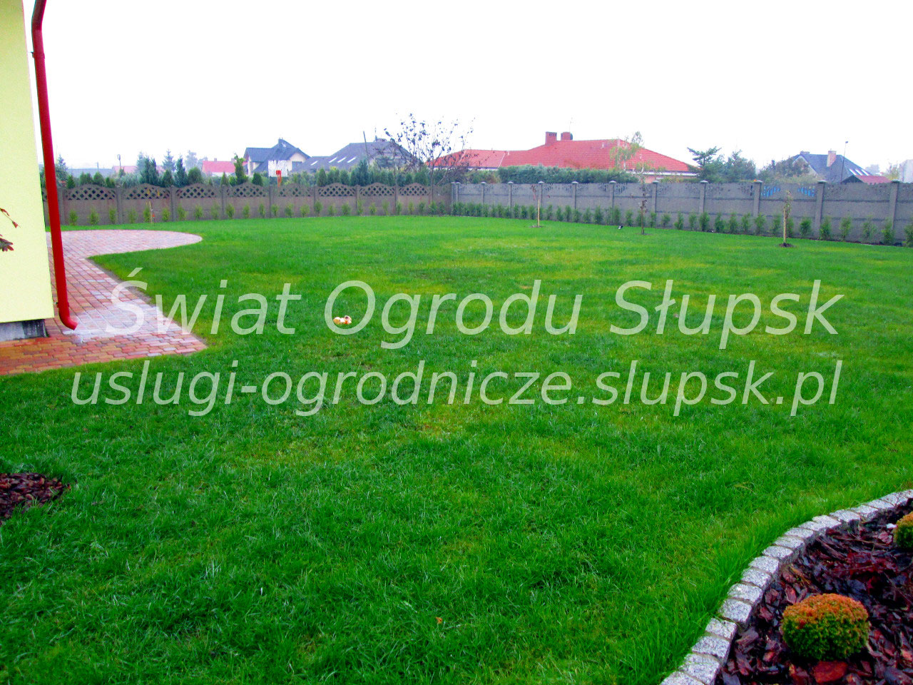 Trawnik w ogrodzie i na posesji - Galeria zdjęć 01 - zdjęcie 14
