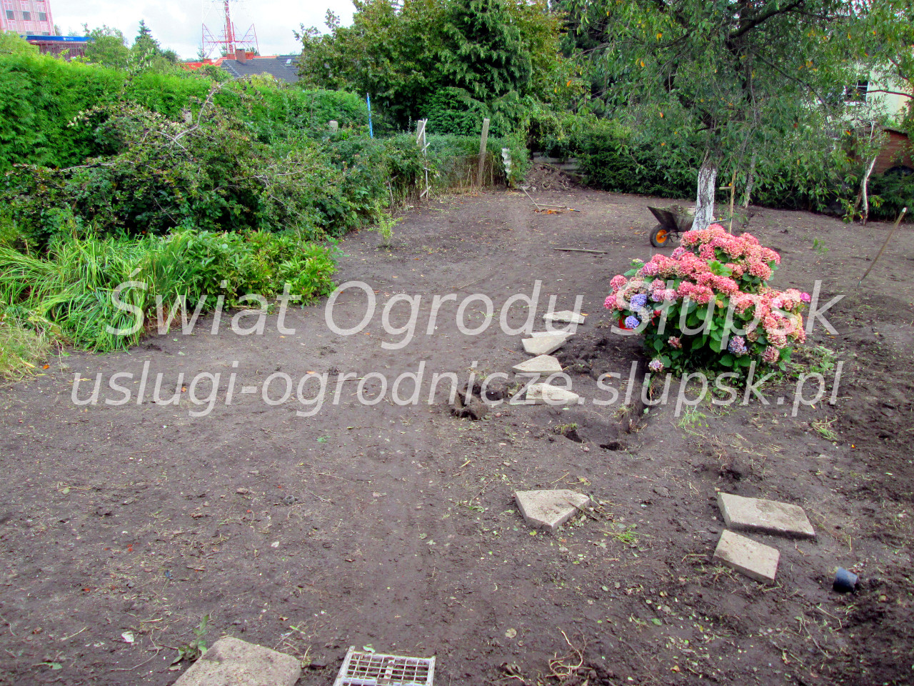 Trawnik w ogrodzie i na posesji - Galeria zdjęć 02 - zdjęcie 06